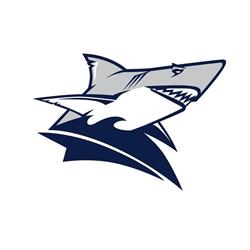 Steelsharks Traun