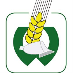 Lwbfs Waizenkirchen