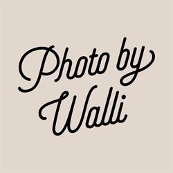 Photo by Walli - Shooting Star