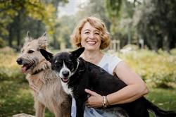 Project Canis Hundetraining
