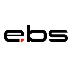 e.battery systems AG