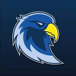 Sokol Volleyball