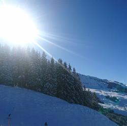 Schischule Alpin-Profis Kirchberg in Tirol