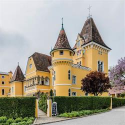 Georgi Schloss