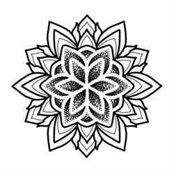 Wludarz Tattoo Collective