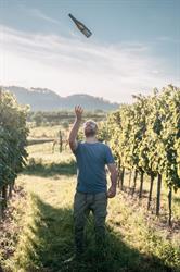 Bioweingut Viktor Fischer