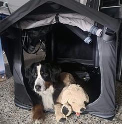 Camping Bergler Vorzeltausstellung und Zubehörshop Graz