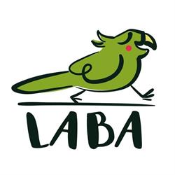 LABA Kreative Kindercamps