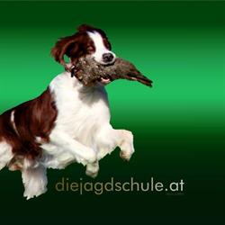 diejagdschule.at