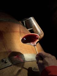 Gratus Weinwerkstatt