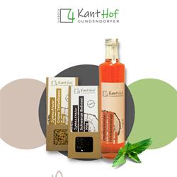 4KantHof Gundendorfer
