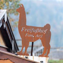 Freifusshof Lamas und Alpakas