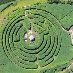 Labyrinth im Elefantengras