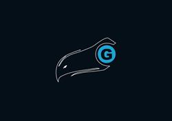 Optik Geir