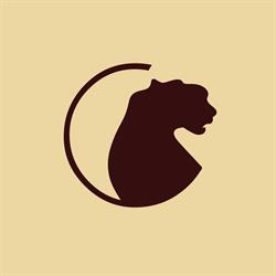 CheetahCraft Galerie