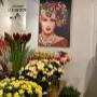 Innenansicht von Fleuroom, Hauptplatz 7, 2500 Baden: stilvolles Floristik-Atelier mit frischen Rosen, Amaryllis und saisonalen Schnittblumen. Florist für Sträuße, Hochzeitsfloristik & Dekoration.