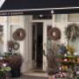 Fleuroom, Hauptplatz 7, 2500 Baden: Außenansicht des Blumen- & Deko-Shop mit saisonalen Schnittblumen, Pflanzen, Kränzen und Arrangements. Florist im Zentrum – ideal für Hochzeiten, Geburtstage & Geschenke.