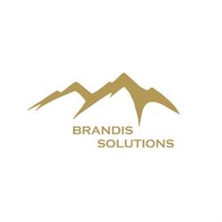 Brandis Solutions GmbH