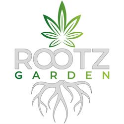 rootz