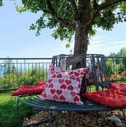 Urlaub Am Steinerhof