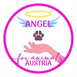 Angel for Animals