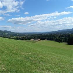Pircherhof