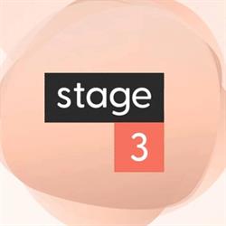 Stage 3