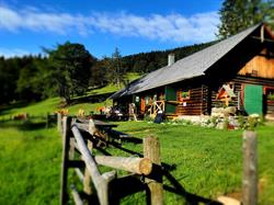 Kleinzeller Hinteralm