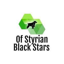 of Styrian Black Stars