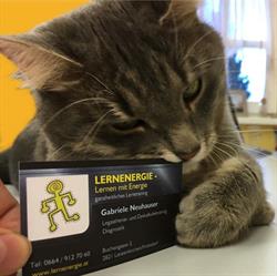LERNENERGIE - Lernen mit Energie