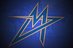 Vienna Metrostars