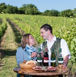 Weingut Bauer
