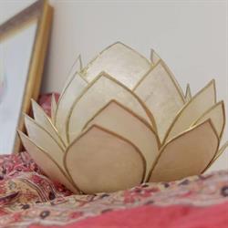Vitawerk
