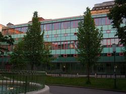 Institut für Romanistik