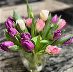 Blumen Pogatschnig