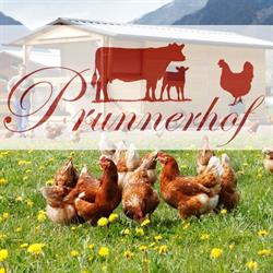 Prunnerhof