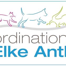 Ordination Elke Antl- ganzheitliche Tierarztpraxis