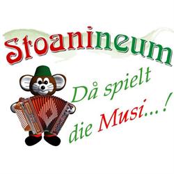 Stoanineum - die Musikschule für Erwachsene