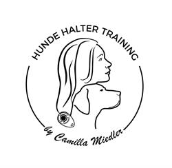Hundehaltertraining