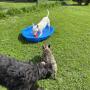 # 8