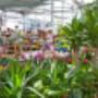 BauProfi Kieninger_Gartencenter
