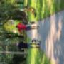 Begegnungstraining Hundeschule DogBond Gleisdorf