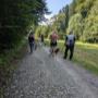 DogBond - Social Walk
