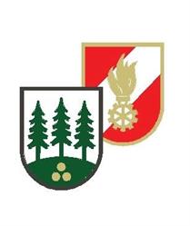 Freiwillige Feuerwehr Wald im Pinzgau
