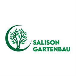 Salisongartenbau