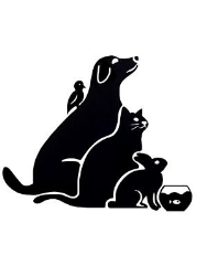 dog-and-co