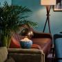 Lounge Lounge