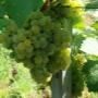 # 6