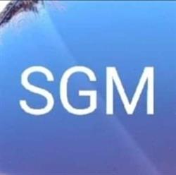 SGM- Autoglas