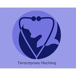 Tierarztpraxis Mischling